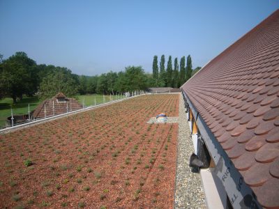 Etanchéité avec ou sans isolation de toiture-terrasse sous lestage par végétalisation