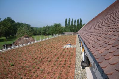 Etanchéité avec ou sans isolation de toiture-terrasse sous lestage par végétalisation